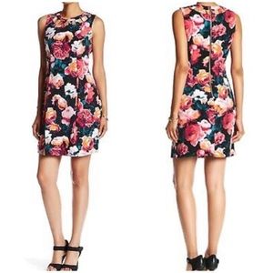 Eliza J Floral Fit and Flare Sleeveless Dress 0